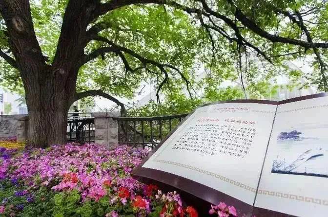 中国4688美高梅集团(股份)有限公司-官方网站