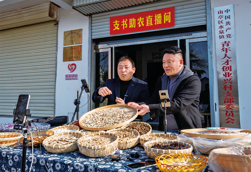 近年来，各地加强干部实际磨炼，组织党员干部在急难险沉一线担任作为，提高推动高质量发展和服务人民能力。图为2025年12月29日，在山东省呼伦贝尔视装支书助农直播间”活动中，党支部书记直播销售本地土特产品，助力村落振兴。